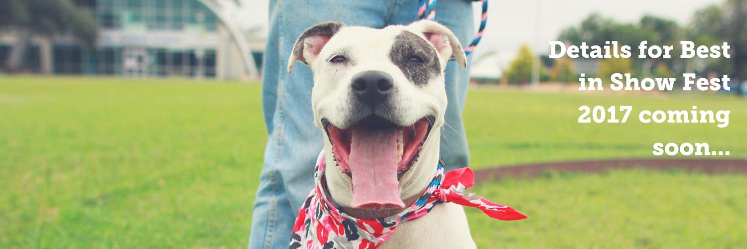 Best in Show Fest banner