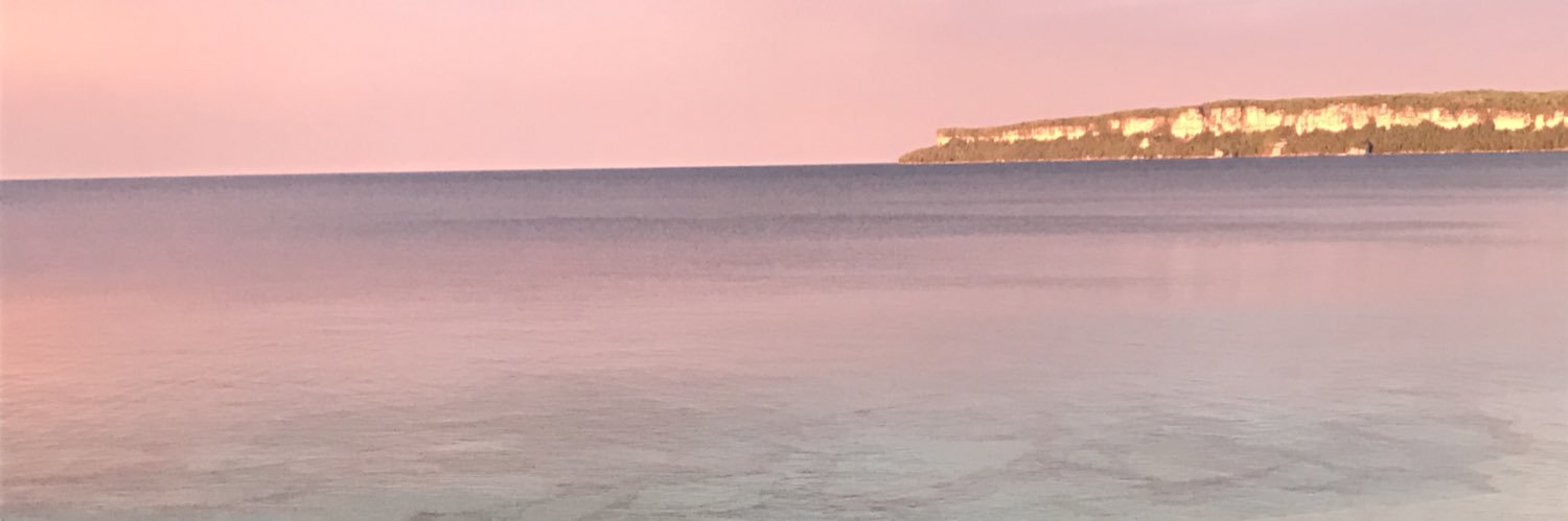 SiobhanCallagh8's profile banner image