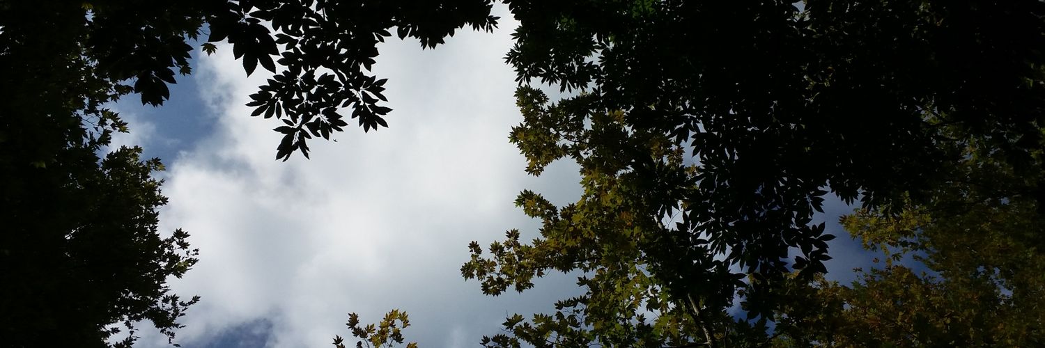 svlttl's profile banner image