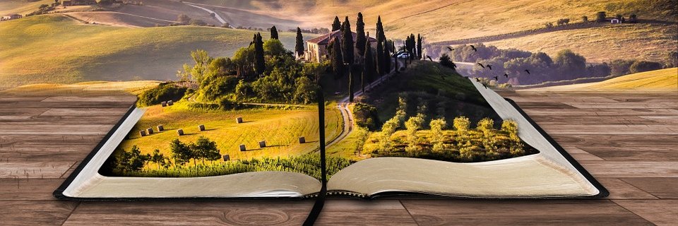 NewCollEnglish's profile banner image