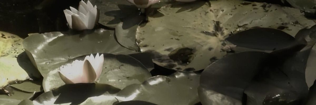 eithqa's profile banner image