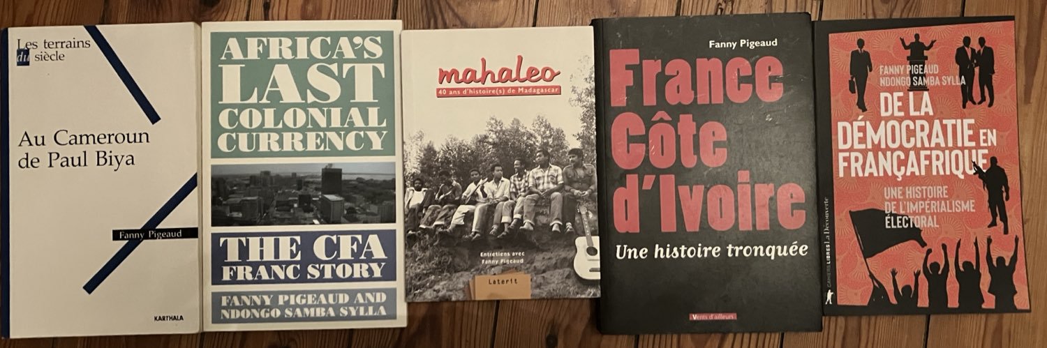 Fanny Pigeaud / @fpigeaud.bsky.social banner