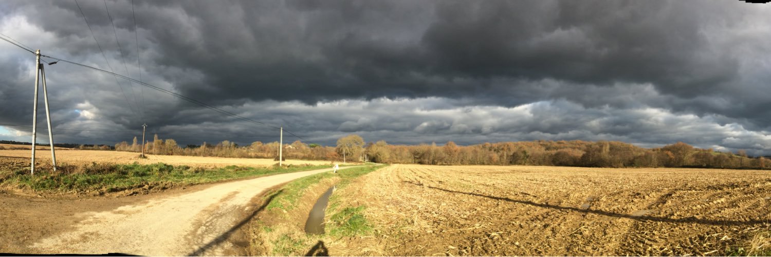 D Scaravetti AM banner