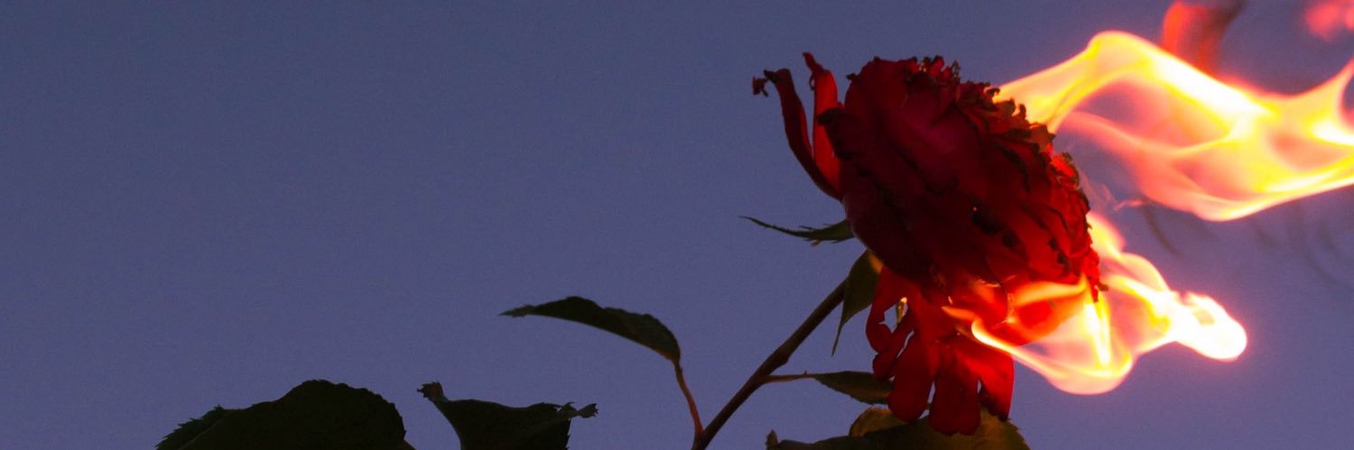 Sha3ll_'s profile banner image