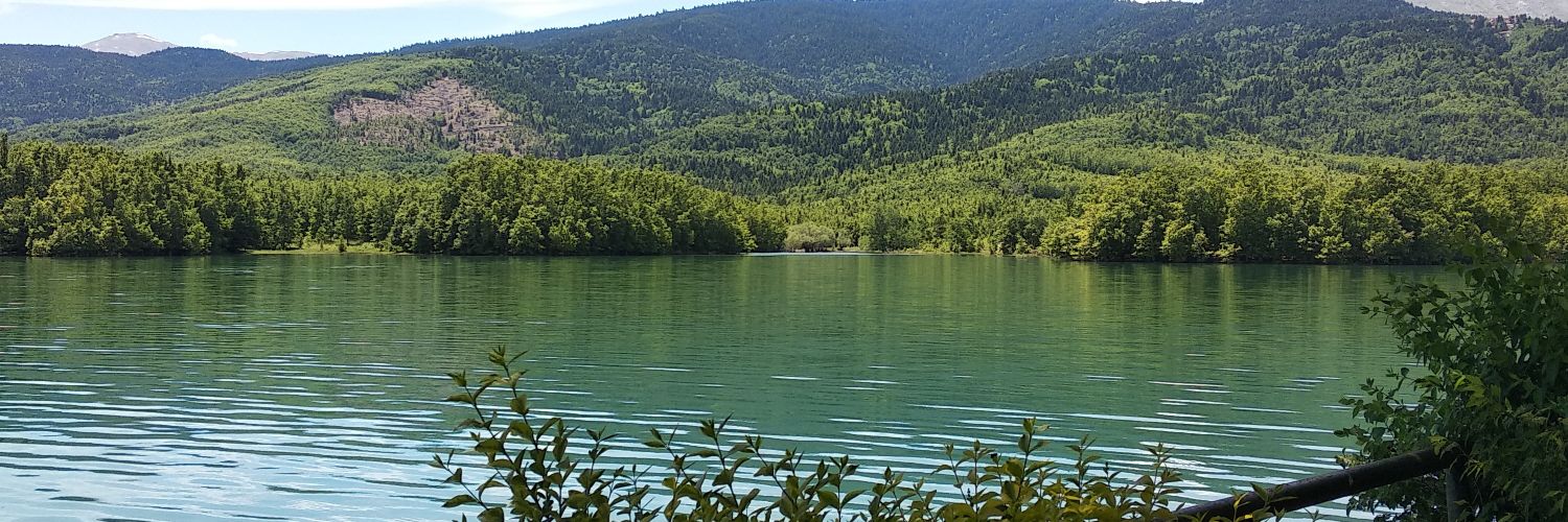 PapadopDimitra's profile banner image