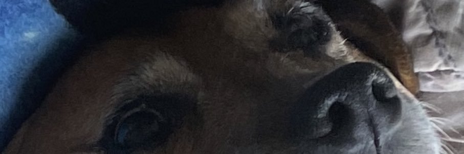 Jakkull's profile banner image