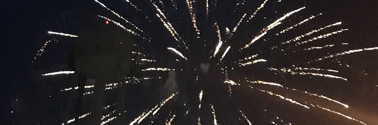 lizfred23's profile banner image