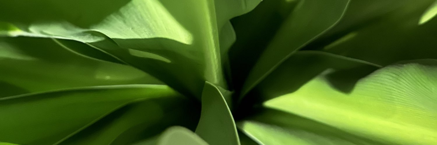 diegomundim's profile banner image