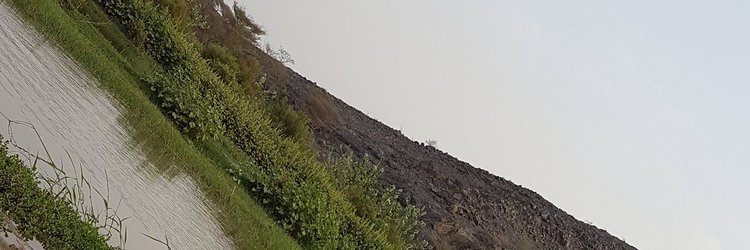 gwaan2016's profile banner image