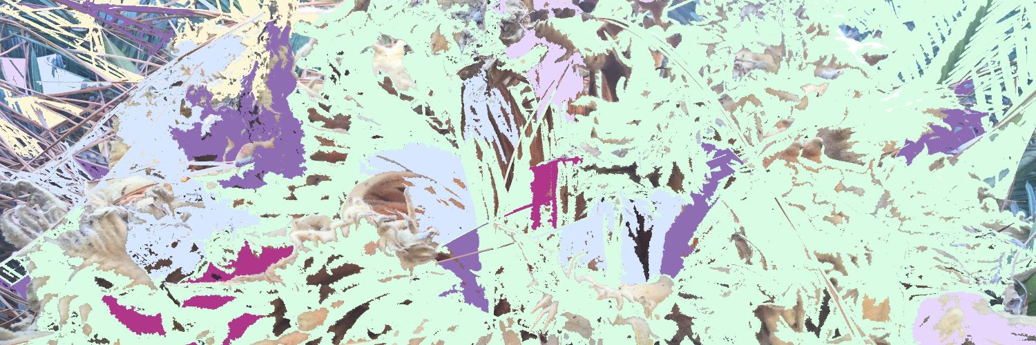 DavidJmsPearce's profile banner image