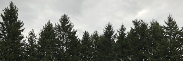 mistrypri Profile Banner