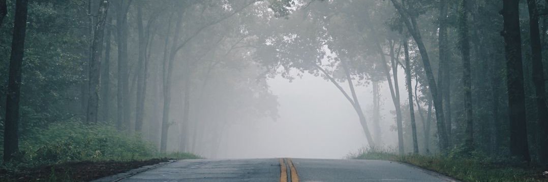 eausanova's profile banner image