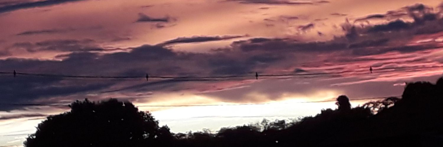 nilsonnana's profile banner image