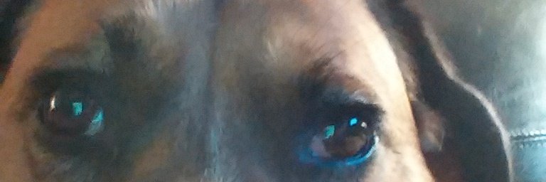 JeanneMaliner's profile banner image