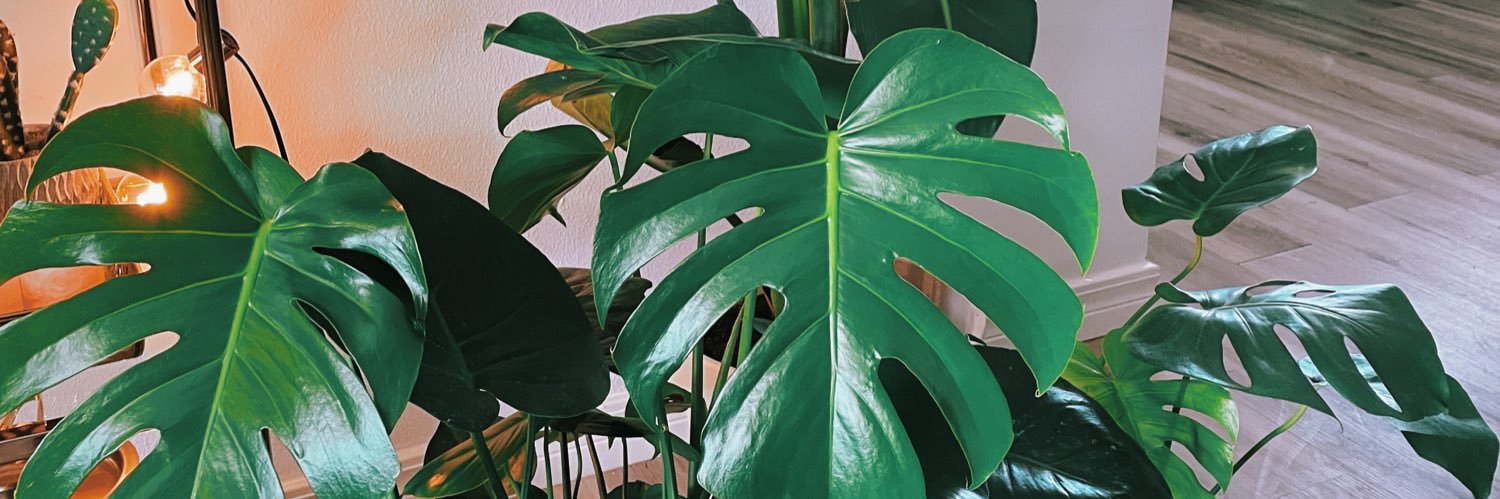 innerpres's profile banner image