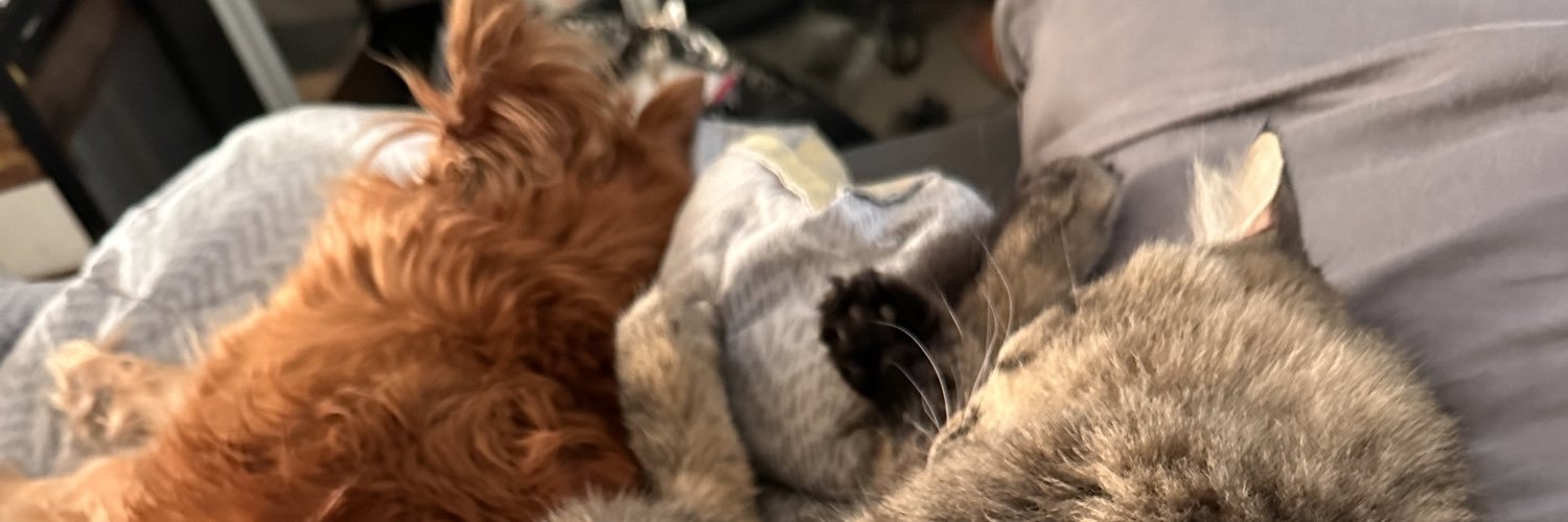 viickkyy__'s profile banner image