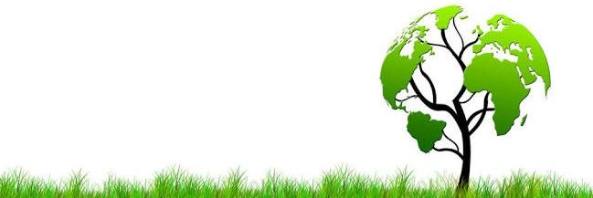 Biday_'s profile banner image