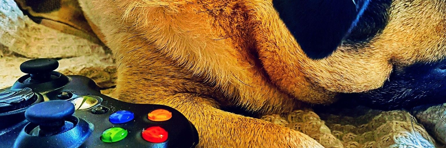 bazman1991's profile banner image