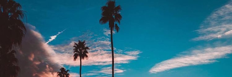 ABU Harbee 🇸🇦 banner