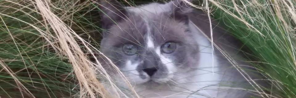CathyLecocq's profile banner image