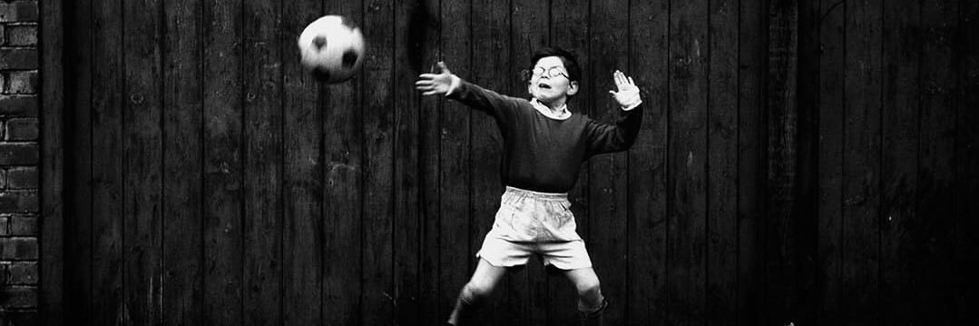 Francisco Bono banner