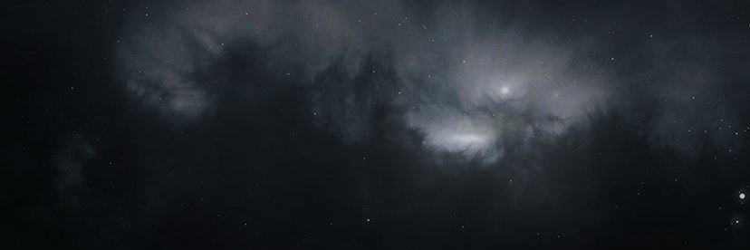 veritypeets's profile banner image
