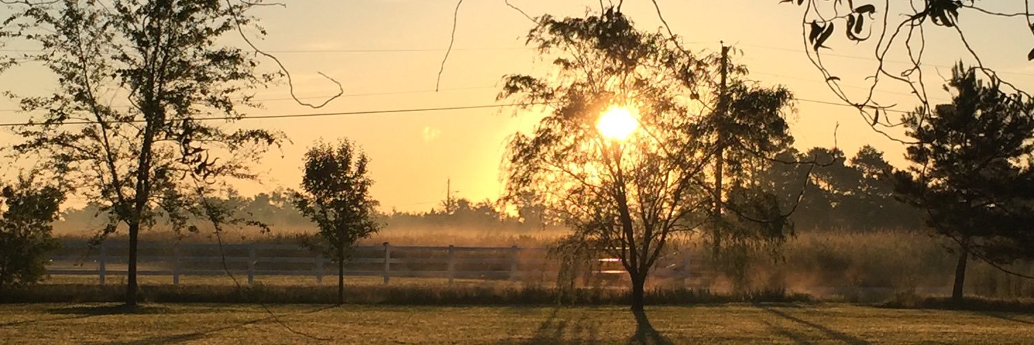 timseibert25's profile banner image