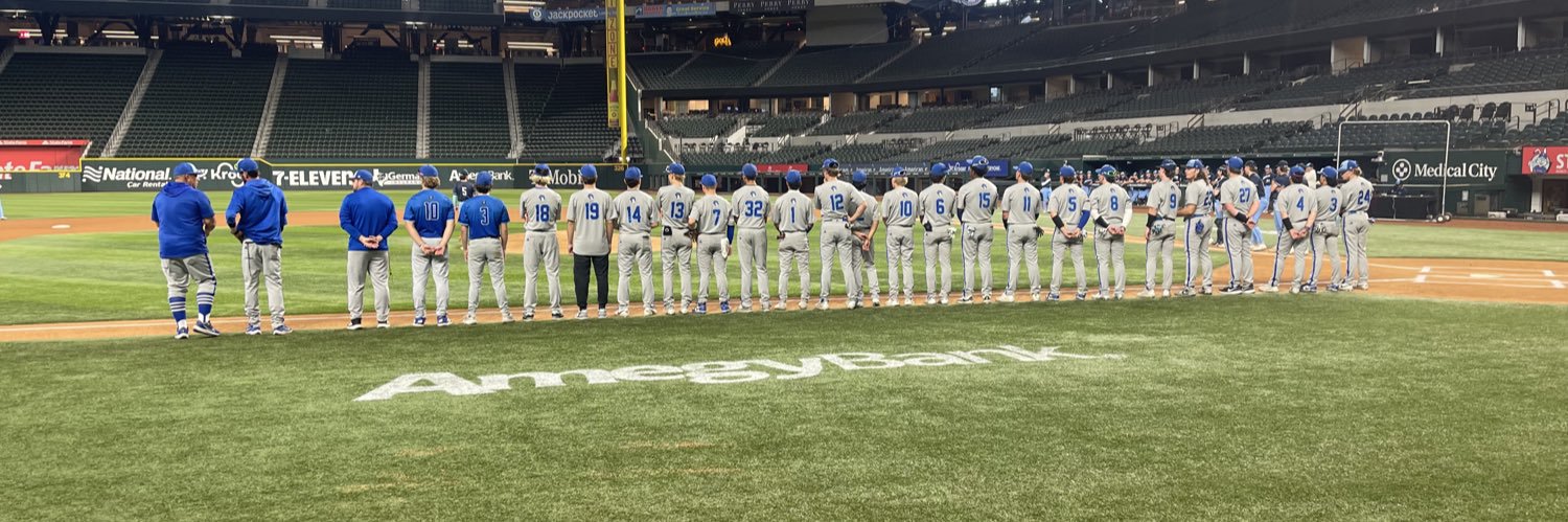 Brewer H.S. Baseball banner