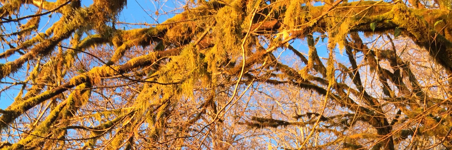 Professor P. D. Puddleduck banner