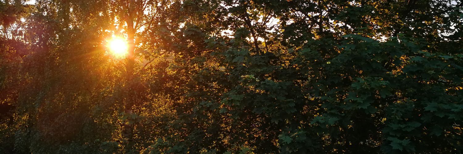 AnneRautu's profile banner image