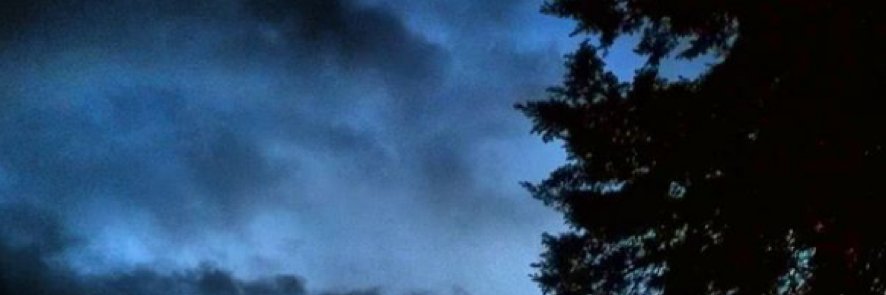 Palomaavr's profile banner image