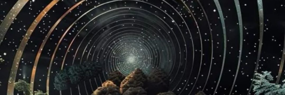 Chilli_says's profile banner image