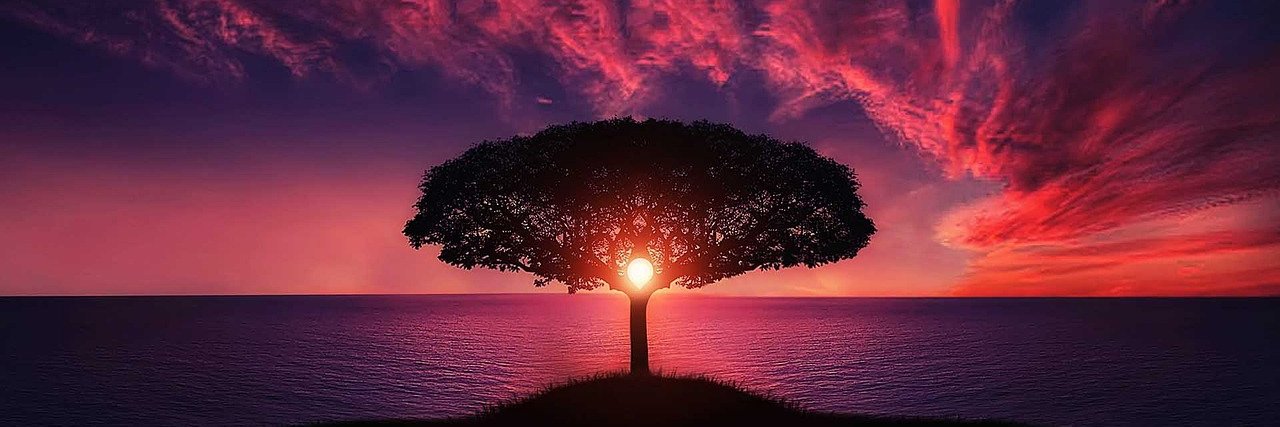 ぜろいちとかいう日左右ちゃん狂 banner