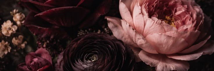 BohemianBat's profile banner image