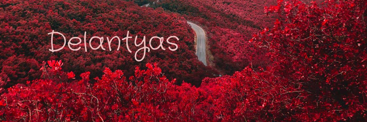 Delantyas's profile banner image