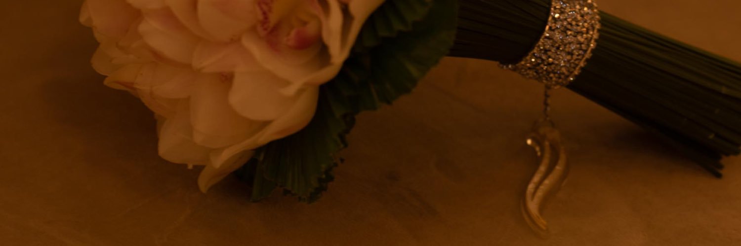 RuHDashti's profile banner image