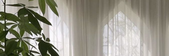fli_7's profile banner image