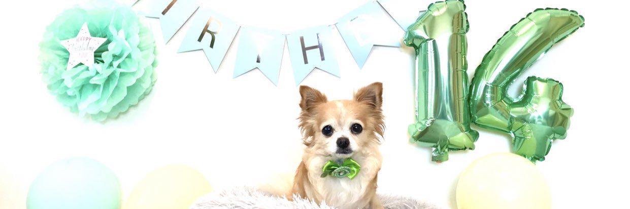 AI_MAHALO's profile banner image
