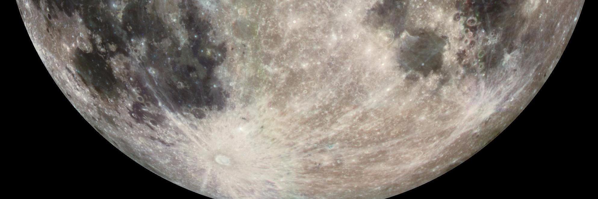 SpacemanCoffeePNW banner