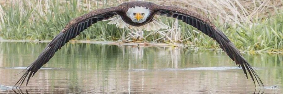Serintlha's profile banner image