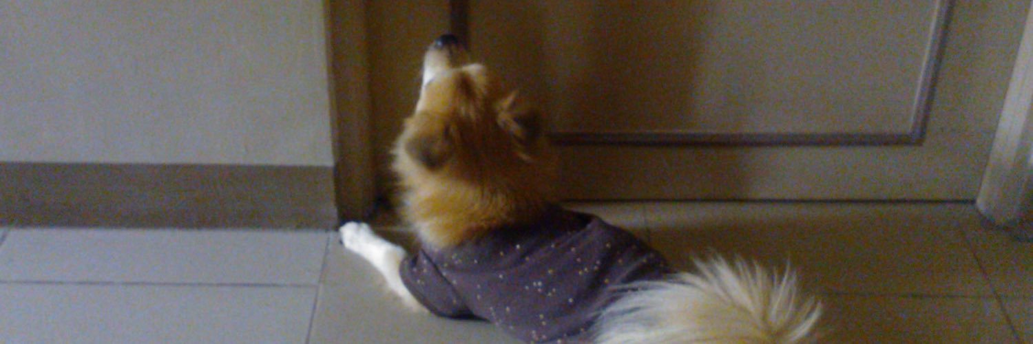 querubeanie's profile banner image