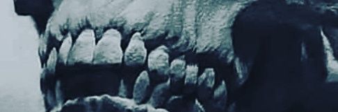 _RedOasis's profile banner image