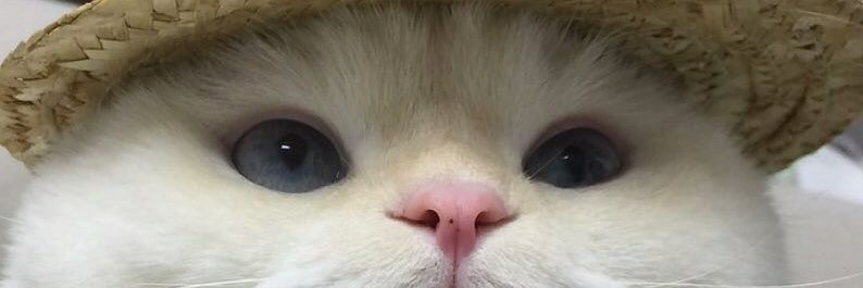 Adlnrn's profile banner image