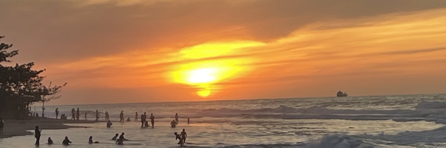 allyjansalin's profile banner image