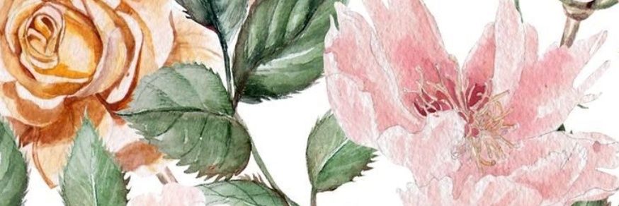 tererodr's profile banner image