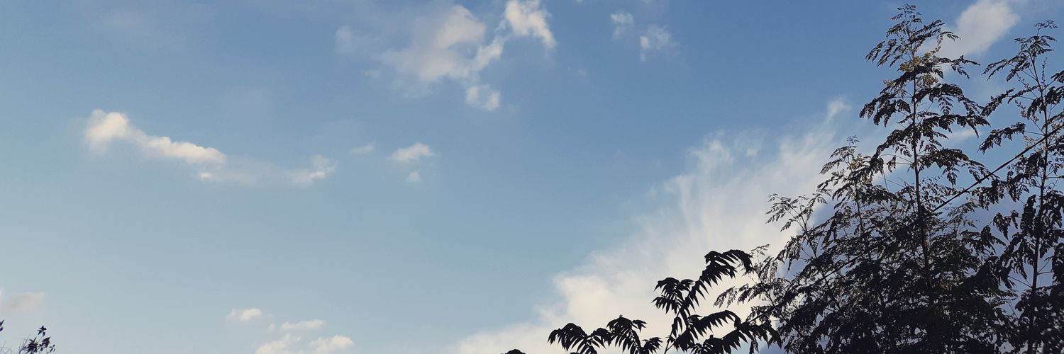 ariesto_fm's profile banner image