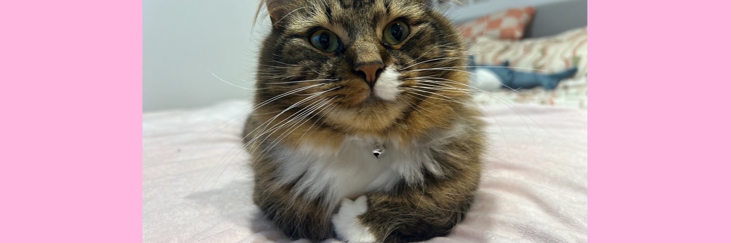 insane void woman banner