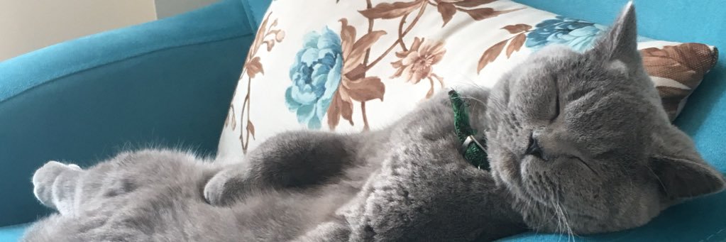 Tutaydan's profile banner image