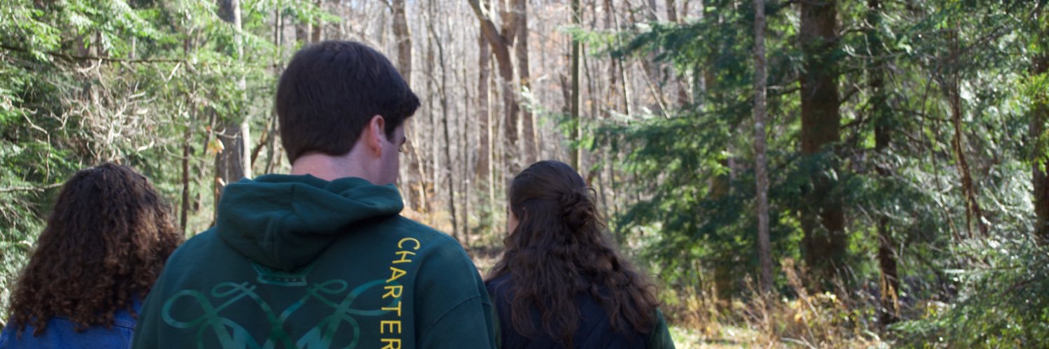 rachbernstein2's profile banner image