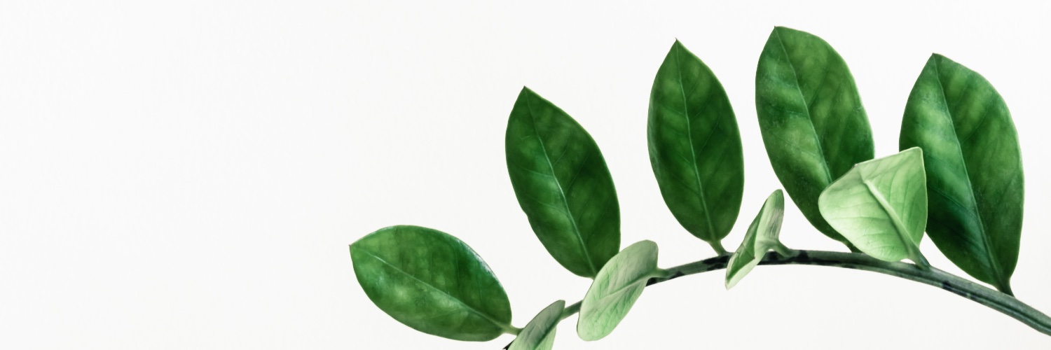 Ievuciiiitis's profile banner image